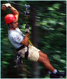 Ziplining through the Costa Rican Canopy