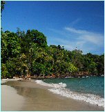 Secluded beach in Costa Rica with pristine waters and vegetation