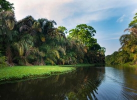 Canals and waterways in Tortuguero, Caribbean Coast of Costa Rica