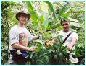 Coffee pickers in Costa Rica