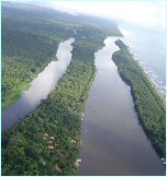 The Tortuguero main canals seen from above