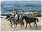 Horseback riding tour on a beach in the South PAcific Beaches of Costa Rica