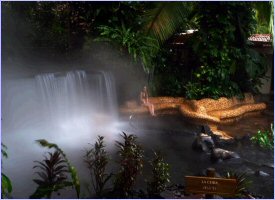 The Tabac�n Hot Springs and Spa in Costa Rica